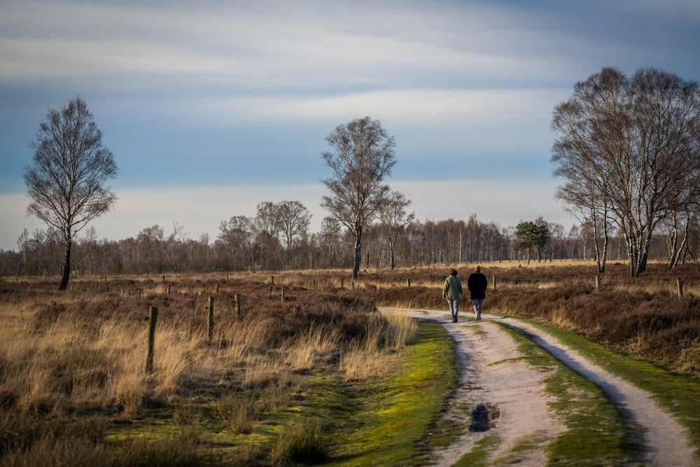 Tips voor de mooiste wandelvakantie in Nederland