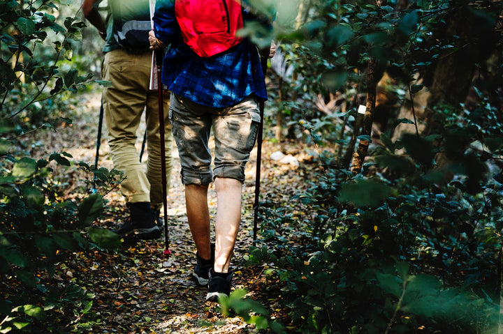 Waarom hiken met wandelstokken een goed idee is