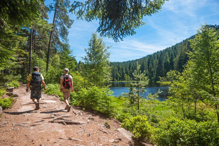 Tips voor de mooiste wandelvakantie in Duitsland