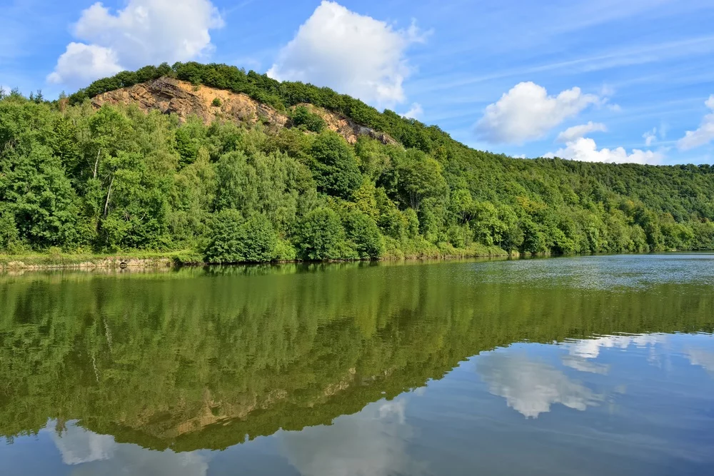 Wildkamperen in de Ardennen