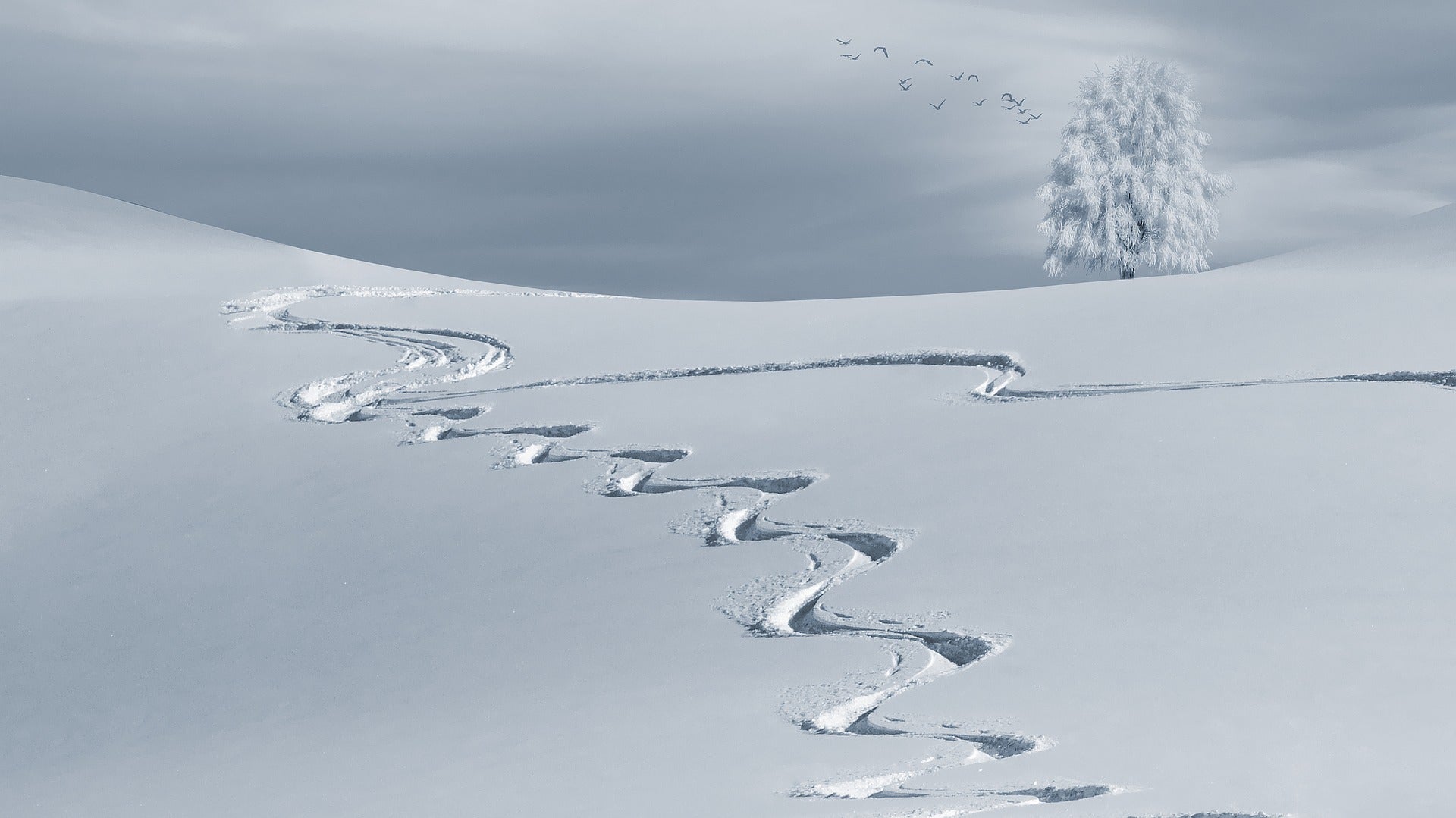 11x Zo blijf jij optimaal gezond tijdens het skiën